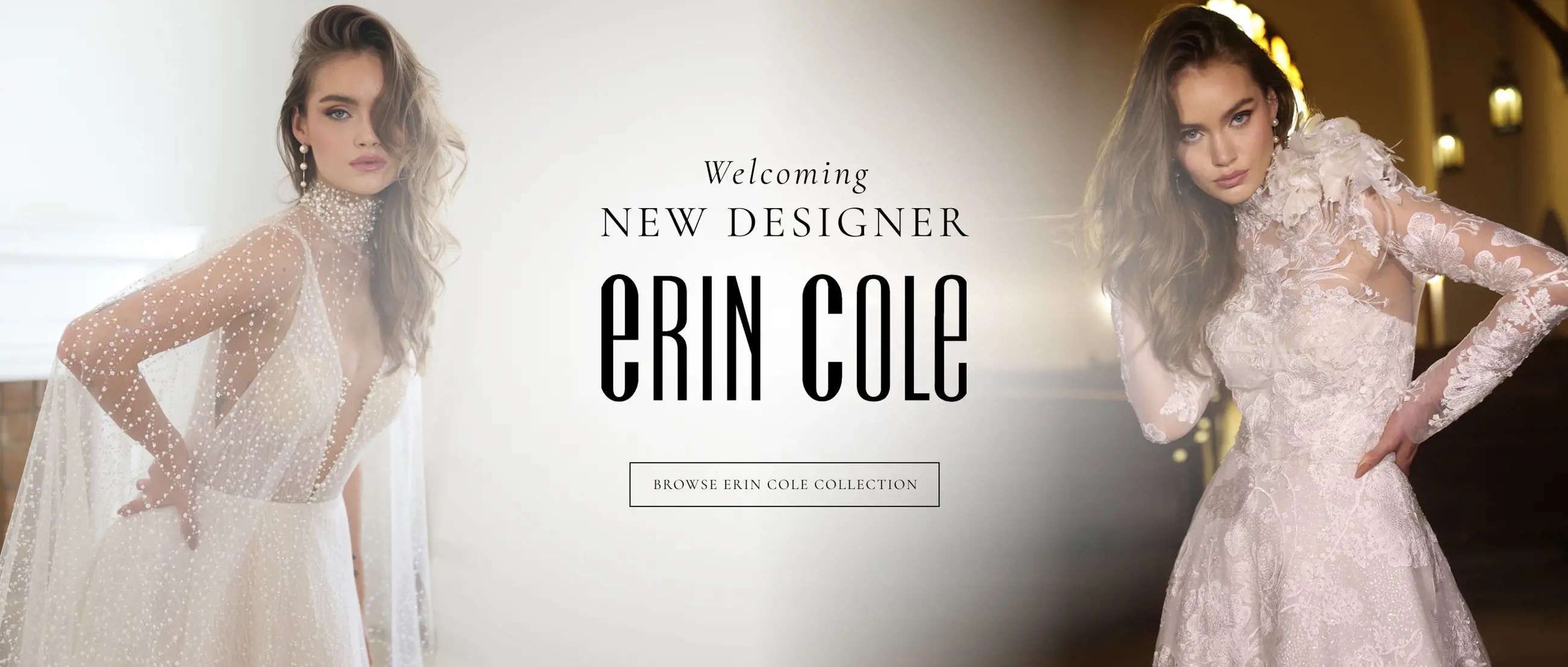 Erin Cole Banner for Desktop